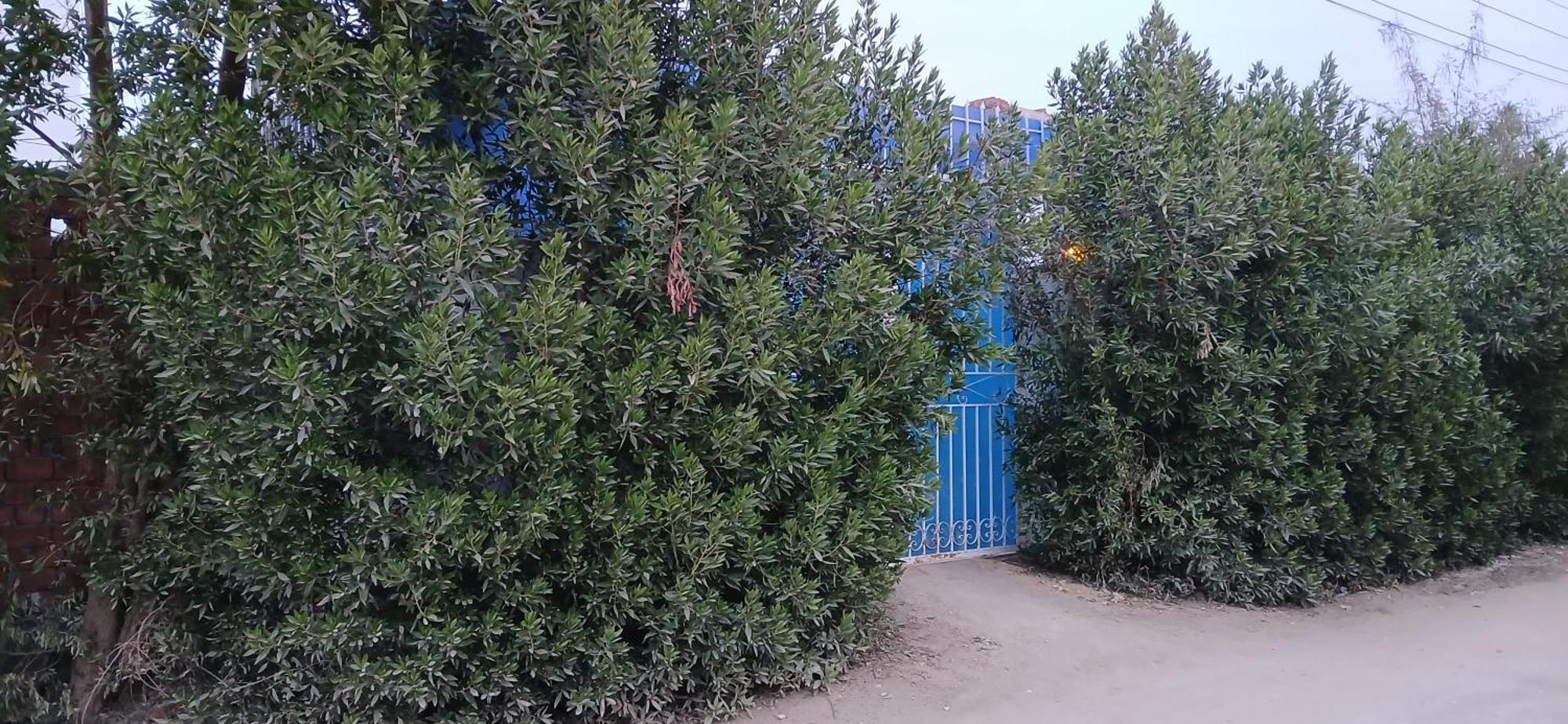 Studio House الأقصر المظهر الخارجي الصورة